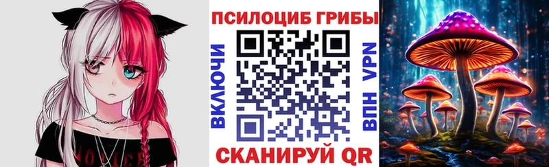 Купить  Озёрск  Галлюциногенные грибы GOLDEN TEACHER 