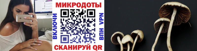 Галлюциногенные грибы MAGIC MUSHROOMS Озёрск